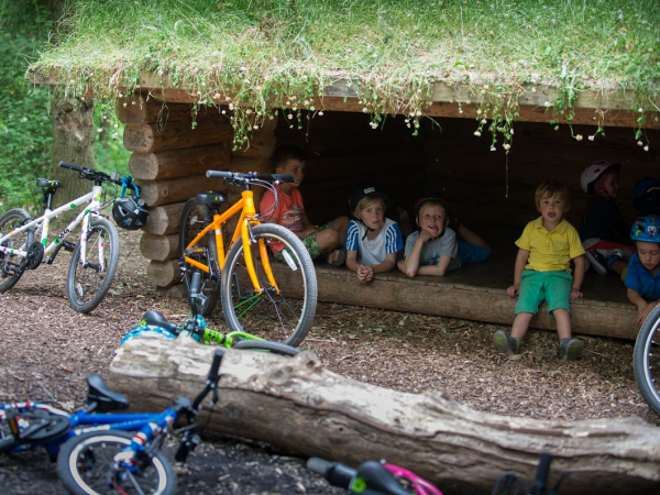 girls frog bike